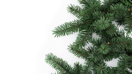 christmas background with christmas branches and decorations