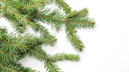 christmas background with christmas branches and decorations