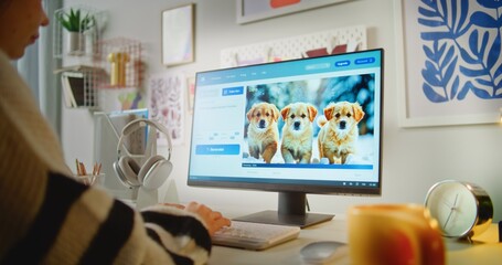 Girl types text prompt in AI video generator on computer. PC screen shows artificial intelligence...