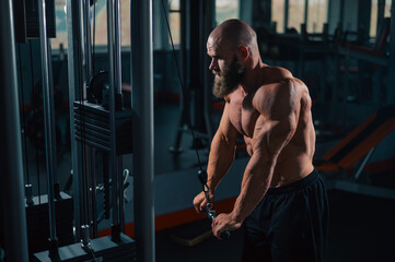 Bald Caucasian Bodybuilder doing heavy triceps exercises with cable. 