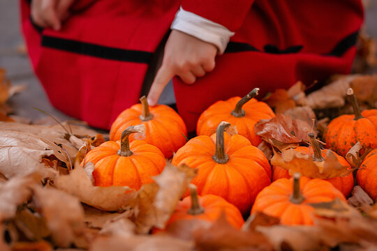 girl touches a small pumpkin with her finger