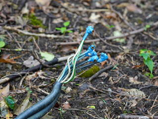 Exposed electrical wires lie on the forest floor, surrounded by leaves and soil