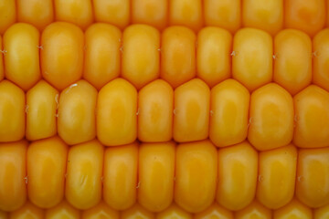 A close-up shot of corn kernels, tightly packed together in neat rows, displaying their bright yellow color and smooth texture