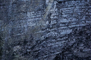 A close-up view of a weathered, textured cliff face, showing various layers of rock