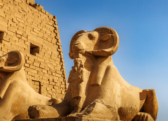 Ancient Egyptian Temple Carved Stones and Pillars
