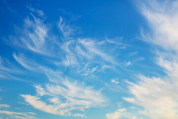 There is a blue sky adorned with white clouds scattered throughout it