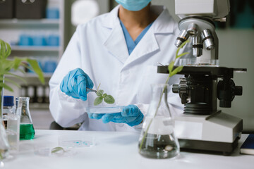 Scientists with research into natural medicine, natural skin care products, laboratories and...