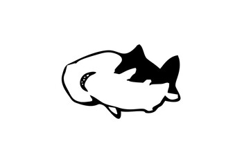 black and white shark