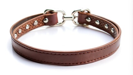 Leather choker necklace isolated on white background