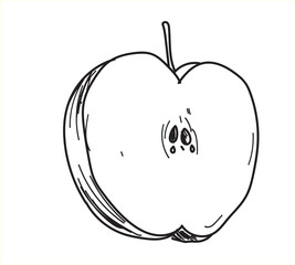 apple vector illustration. Hand drawn tropical fruit illustration. 