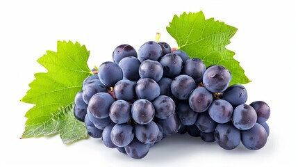 Fototapeta premium Bountiful Harvest: Captivating Package Design of Fresh Blue Grapes; A Clipping Path Adventure in Ful