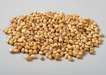 angle view herb XiangCaiZi or HuSuiZi or Fructus Coriandri or Coriander Fruit