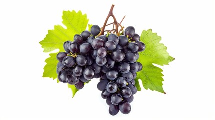 Fototapeta premium Gorgeous Kyoho Grape Cluster & Elegant Black Wine Grape: Exquisite Isolated Fruits Captured in High-