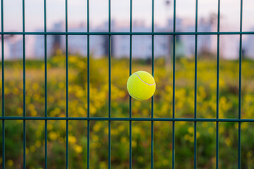 Tennis Ball Stuck in Fence with Nature Background