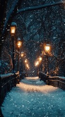 Snowy Walkway Illuminated by Streetlights at Night