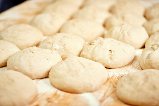 Rolls, dough and bakery with food in oven for pastry production, yeast or fresh wheat. Closeup, row or line with ingredients or bread in bunch on baking tray at factory for stock or inventory at shop