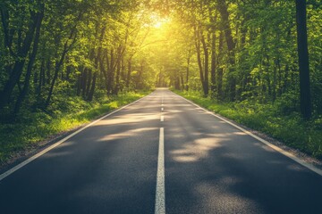 Fototapeta premium Peaceful Forest Road with Soft Sunlight