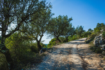 Fototapeta premium dirt path winding through a rural landscape in the Buracas do Casmilo region of Portugal. 