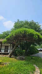 A shelter deep in the forest