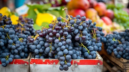 Captivating Display of Fresh Black Grapes at a Vibrant Market Stall --