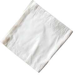 Detailed Table Setting with Paper Napkin for Elegant Dining Events