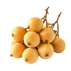 Fototapeta premium Fresh Ripe Longan Fruit Cluster Branch