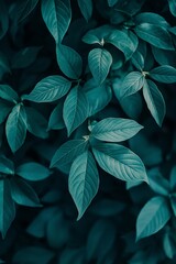 A collection of light teal leaves in intricate arrangement, offering focus on texture and natural elegance.