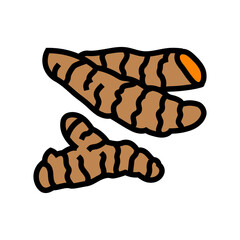 turmeric root ayurvedic herb color icon vector. turmeric root ayurvedic herb sign. isolated symbol illustration