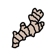 ginger root ayurvedic herb color icon vector. ginger root ayurvedic herb sign. isolated symbol illustration
