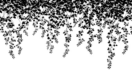 A cascading vine covered in numerous small, paper-thin flowers in clusters, vector illustration art