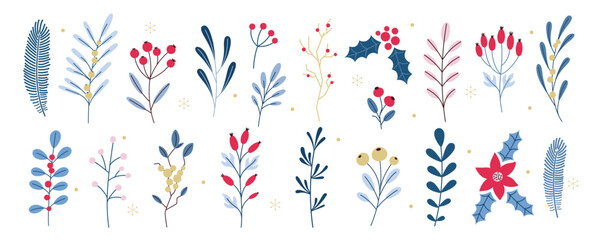 Cute winter plants collection. Hand drawn Christmas decoration elements set. Branches, berries and flowers. Blue, red, gold colors. Vector flat illustration.