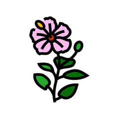 hibiscus ayurvedic herb color icon vector. hibiscus ayurvedic herb sign. isolated symbol illustration