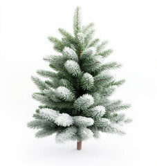 Fluffy christmas fir tree isolated on white background for holiday decor design