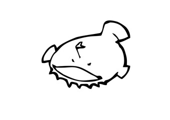black illustration  fish png