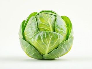 Fototapeta premium A freshly harvested compact and green brussels sprout photographed against a pure white background The vegetable showcases its natural organic appearance and vibrant color
