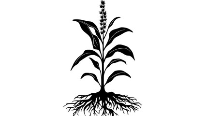 Fototapeta premium Broomrape sprouting near the roots of a host plant, vector illustration art