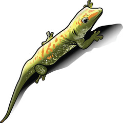 Lizzard Adobe Illustrator Artwork