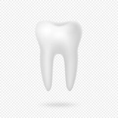 Realistic 3D white tooth isolated on transparent background. Dental tooth icon concept.