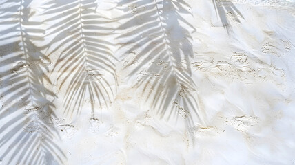 Photography of Top View of Tropical and Palm Leaf Shadows on Water Surface and White Sand Beach, Perfect Summer Beach Vacation Concept, Beautiful Abstract Summer Vacation Landscape Banner 