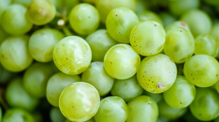 Captivating Close-up: Exploring the Lush Background and Textured Beauty of Green Kishmish Grapes - A