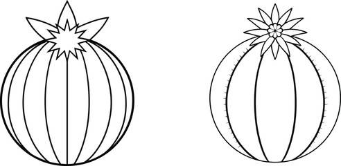 Two Black and White Line Drawings of Cacti © Bappaditya Roy