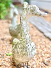 Cast duck sculptures with their family rest on honey-colored river gravel, bringing charm and warmth to the garden space.