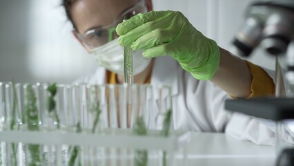 Woman scientist wearing a lab coat, green gloves and mask holding a test tube with plants inside, close up. Science and medicine concepts