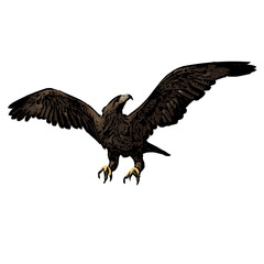 Flying eagle animal ilustration vector isolated design 