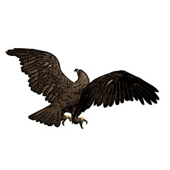 Flying eagle animal ilustration vector isolated design 