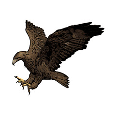 Flying eagle animal ilustration vector isolated design 