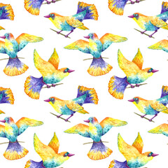 Seamless pattern with watercolor decorative colorful birds on white background.