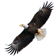 Obraz premium Majestic Eagle Soaring Against a Clear Sky, Easy to Isolate, Irregular Shape, Perfect for Wildlife and Nature Designs Generative AI