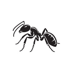 Ant Silhouette Icon. Vector Illustration on White Background.