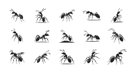 Ant Silhouette Icon set. Vector Illustration on White Background.